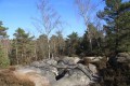 Die Tour durch die Apremont-Schlucht im Wald von Fontainebleau Le tour des Gorges d'Apremont en forêt de Fontainebleau