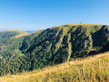 Rundwanderung „Sentier des Roches“, Hohneck und Kastelberg Boucle Sentier des Roches, Hohneck et tour du Kastelberg