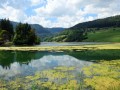 Die Combe de Biaufond La Combe de Biaufond