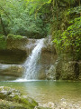 Balade en sous-bois jurassien Balade en sous-bois jurassien