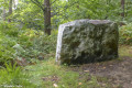 Dans la forêt autour de Montigny Dans la forêt autour de Montigny