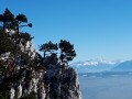Le Mont Blanc depuis la crête