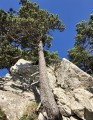 Chamechaude insolite durch L'Arche, le Jardin, la Brêche Arnaud und den Canyon Chamechaude insolite par L'Arche, le Jardin, la Brêche Arnaud et le Canyon