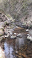 Das Roannay-Tal bei der Abfahrt von Francorchamps La vallée du Roannay au départ de Francorchamps