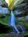 Le Saut de Bonneille Le Saut de Bonneille