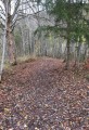 Le sentier à travers bois