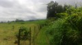 Une partie du Sentier des Foulées de la Fraise Une partie du Sentier des Foulées de la Fraise