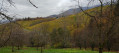 Zwischen Achern und Sasbachwalden Entre Achern et Sasbachwalden