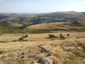 Le Plateau de Limon