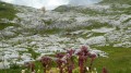 Plateau d'Assy - Refuge de Platé Plateau d'Assy - Refuge de Platé
