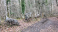 La boucle de Chosal et Copponex et le circuit de Land Art La boucle de Chosal et Copponex et le circuit de Land Art