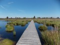 Zwischen Wäldern und Steppenlandschaft in Ternell Entre forêts et paysage de steppes à Ternell