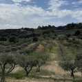 Au-dessus d'Aups par La Peirière