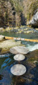 Le tour du Lac de Moron de part et d'autre de la frontière Le tour du Lac de Moron de part et d'autre de la frontière