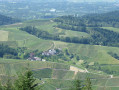 Les vignobles Les vignobles