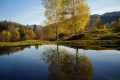 Rundwanderung um den Letzbergweiher - Schönau im Schwarzwald Rundwanderung um den Letzbergweiher - Schönau im Schwarzwald