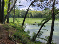 Rund um den Madlitzer See Rund um den Madlitzer See