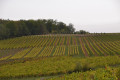Rundweg von Chessy zu den Steinbrüchen von Glay Boucle de Chessy aux carrières de Glay