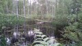 Der Wald von La Claye La Forêt de la Claye