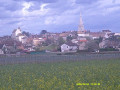 Santenay to Meursault - Route des Grands Crus