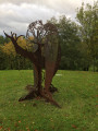 Verson, le baobab et le pommier Verson, le baobab et le pommier