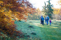 HOCHGEHBERGE-Tour »hochgehhütet« - am Beutenlay HOCHGEHBERGE-Tour »hochgehhütet« - am Beutenlay