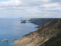 9 - North Cliffs to Tehidy Country Park woods (Circular/Same way)