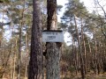 Die Carte du Tendre im Wald von Fontainebleau La Carte du Tendre en Forêt de Fontainebleau