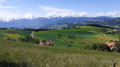 Münsingen - Rüeggisberg par l'Alpenpanorama Weg Münsingen - Rüeggisberg par l'Alpenpanorama Weg