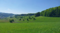 Rund um Sitzenkirch über die Ruine Sausenburg und das Schloss Bürgeln Autour de Sitzenkirch par la ruine Sausenburg et le Schloss Bürgeln
