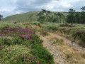 Rundweg Ménez-Hom Circuit du Ménez-Hom