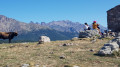 Du Col de Vergio au Lac Nino
