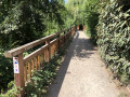 Les trois rivières au Sud de Strasbourg Les trois rivières au Sud de Strasbourg