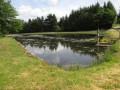 Wald von Planoise und Teich Etang du Martinet Forêt de Planoise et Etang du Martinet