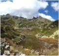 Forêt et alpages sur les hauteurs d'Argentière Forêt et alpages sur les hauteurs d'Argentière