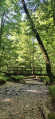 Sentier de la Citardière - Forêt de Mervent