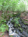 Wald von Montbert und Lac Chauvet Forêt de Montbert et Lac Chauvet