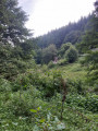 Firstplan - Gelber Grenzstein - Wasserburg Firstplan - Borne Jaune - Wasserbourg