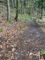 Boucle de la cacahuète à Stambach