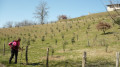 Kapellenrundweg in Chatte Circuit des Chapelles à Chatte