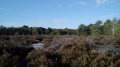 Der Weg der Aussichtspunkte (Sentier des Belvédères) - Fontainebleau Le Sentier des Belvédères