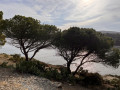 Cap Béar-Runde Boucle du Cap Béar