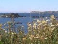 Locquémeau und die Klippen von Trédrez Locquémeau et les falaises de Trédrez