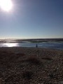 Sur la Presqu'Île de Loix en Ré Sur la Presqu'Île de Loix en Ré