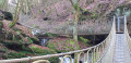 Pont suspendu de 30 m de long Pont suspendu de 30 m de long