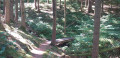 De la Vallée de la Wiltz à la Vallée de la Clerve De la Vallée de la Wiltz à la Vallée de la Clerve