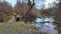 Réserve biologique d'Offendorf Réserve biologique d'Offendorf