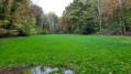 La forêt du Schneckenberg La forêt du Schneckenberg