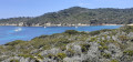 Spaziergang in Porquerolles Balade dans Porquerolles