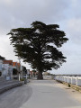 La pointe Sud de l'île d'Oléron au départ de Saint-Trojan La pointe Sud de l'île d'Oléron au départ de Saint-Trojan